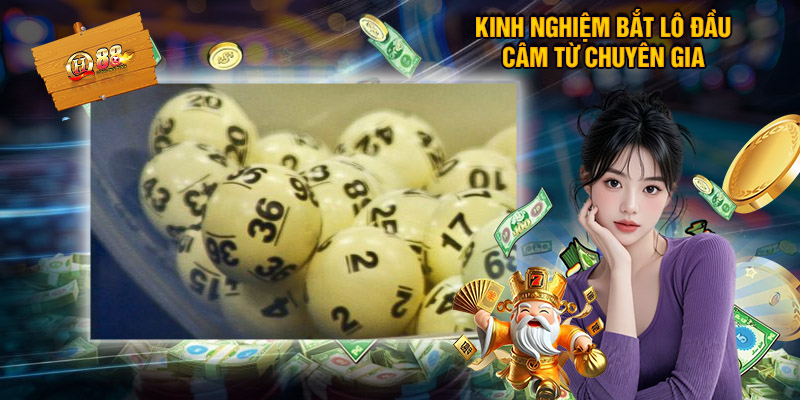 Kinh Nghiệm Bắt Lô Đầu Câm Từ Chuyên Gia
